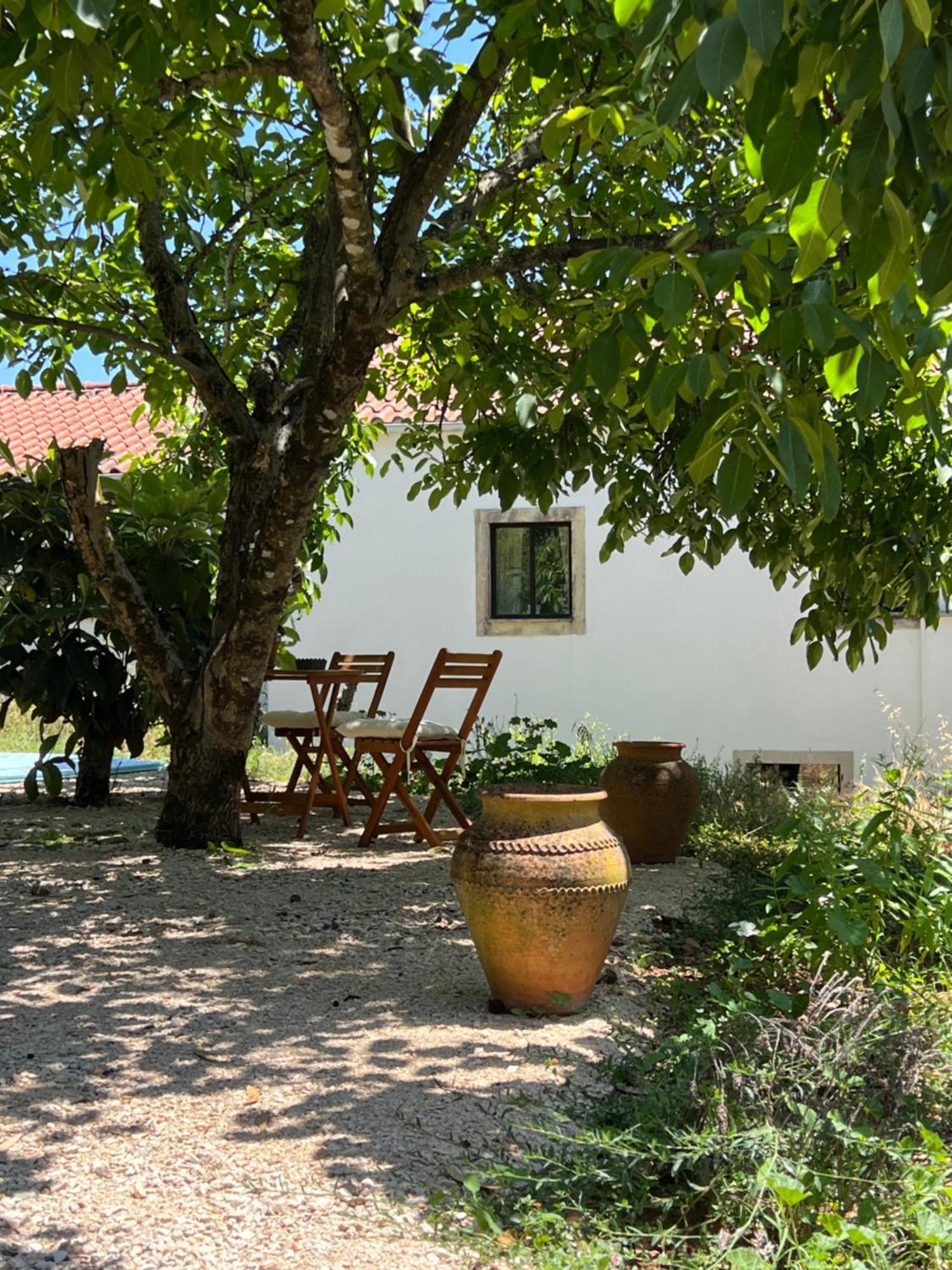 Wellbeing Guesthouse Casa E Connosco Alvaiázere Kültér fotó