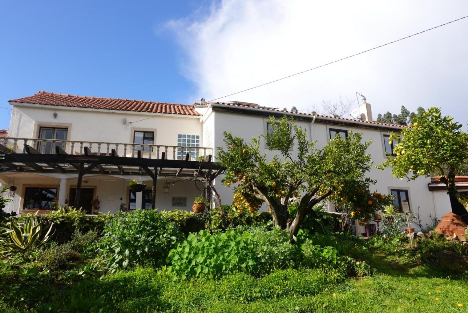 Wellbeing Guesthouse Casa E Connosco Alvaiázere Kültér fotó